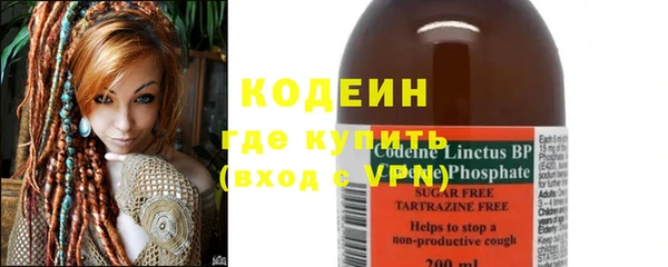 индика Баксан