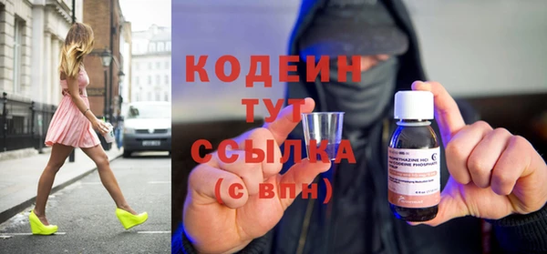 индика Баксан