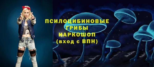 индика Баксан