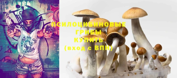 индика Баксан