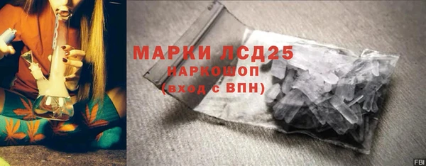 индика Баксан