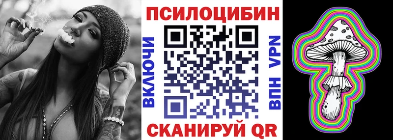 mega онион  купить закладку  Балтийск  Псилоцибиновые грибы Psilocybe 